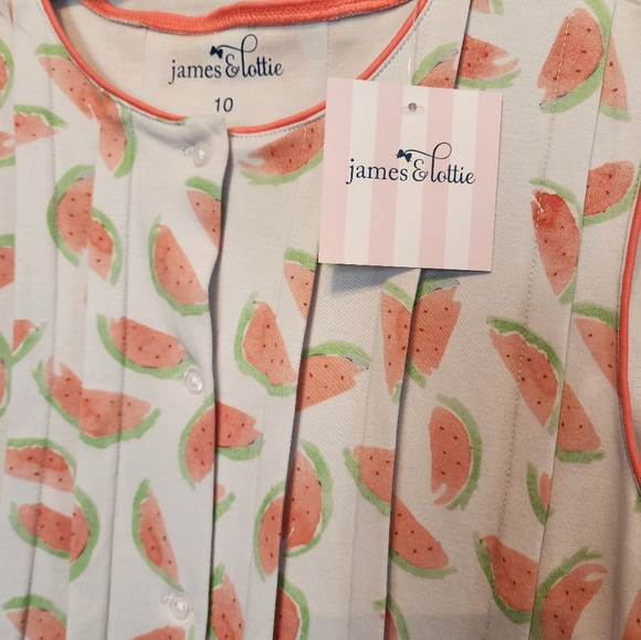 NWT James & Lottie Reagan Watermelon Sundress - Picture 3 of 7
